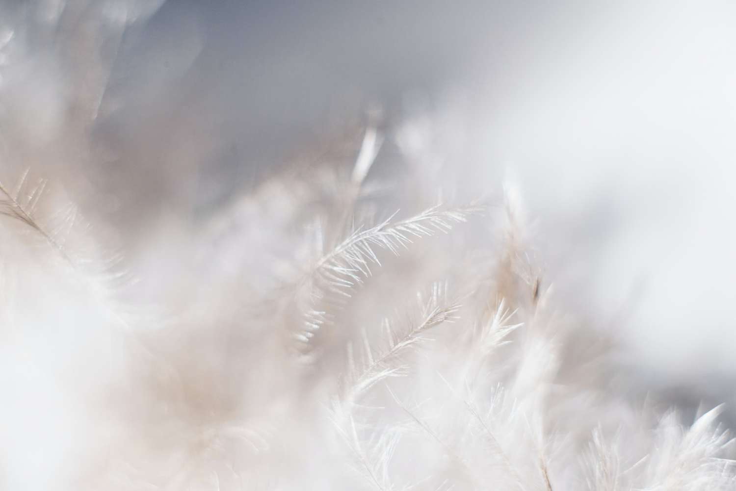 Quy trình GP Studio99 1 evie s Sw7f58YJbc0 unsplash